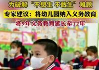 專家建議將幼兒園納入義務教育 幼兒園教育仍然被視為一種商業服務