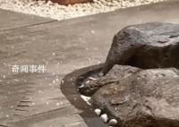 杭州突降冰雹 網(wǎng)友:開眼了