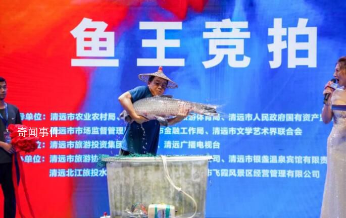 “魚王”拍出30萬 買家當場放生