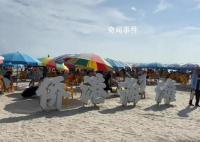 北海不明魚類咬人后海灘游客少了8成 僑港浴場暫停一切涉水活動