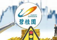 碧桂園賬面資金僅能滿足保交樓