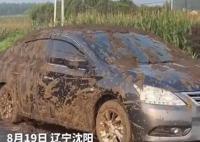 小車被運糞車追尾灌一車糞便 網友：糞代表財運你看這財運多強勢