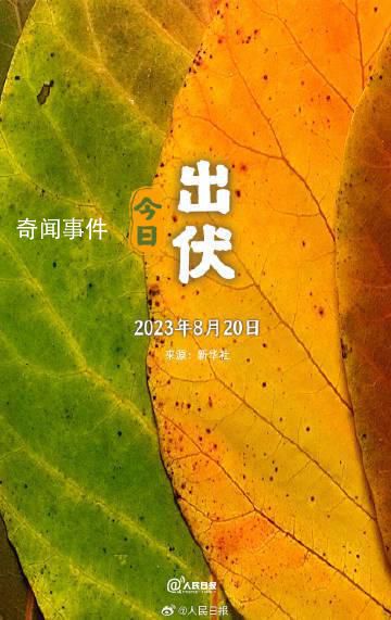 超長三伏天終于結束了 你感受到了嗎