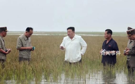 金正恩半身踩進稻田視察救災重建 并嚴厲指出干部們不擔當不作為