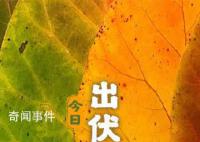 超長三伏天終于結束了 你感受到了嗎
