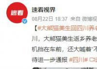 大熊貓美生返鄉被直播博主攔車截停 多名女子舉著手機擋在車前