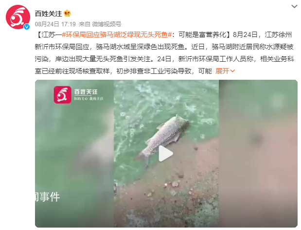 徐州一湖水質呈綠色出現死魚 具體原因仍在調查中