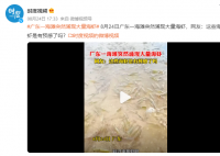 廣東一海灘突然涌現(xiàn)大量海蝦 網(wǎng)友：這些海蝦是有預(yù)感了嗎
