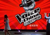 胡錫進:好聲音停播勝過千言萬語