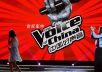 胡錫進:好聲音停播勝過千言萬語
