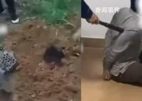 緬甸逃回男子曝出活埋殺人視頻 我每個(gè)禮拜都看到死人