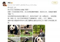 費翔見到了自己領養的大熊貓 費翔曬照分享四川之行