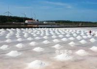 多地提醒市民:不要囤鹽