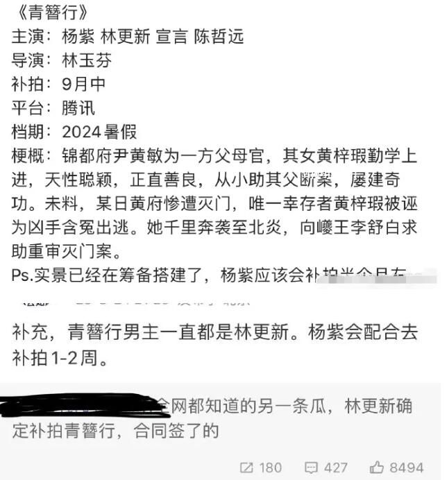 曝楊紫林更新將補拍青簪行 正在籌備實景搭建
