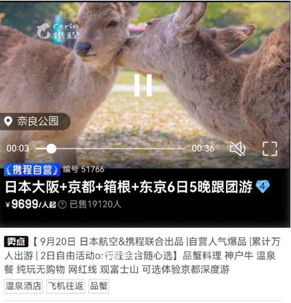 旅企:日本游已開始退團