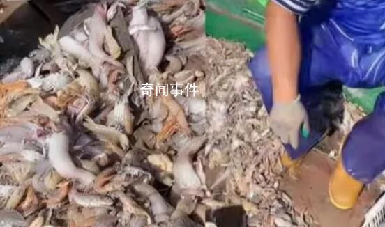 中國漁民回應直播間遭謾罵 有主播當場情緒崩潰