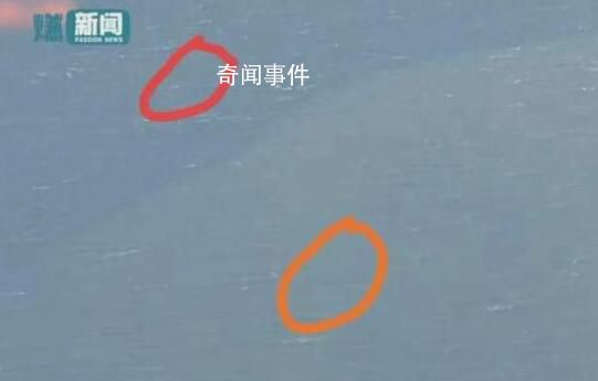 核污水排海后日本人在海里游泳 這究竟是怎么回事