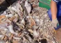 中國(guó)漁民回應(yīng)直播間遭謾罵 有主播當(dāng)場(chǎng)情緒崩潰
