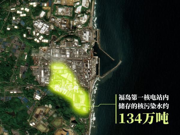日本水產(chǎn)廳檢測(cè)魚類樣本僅2條 多個(gè)領(lǐng)域都出現(xiàn)了連鎖反應(yīng)