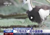 這是“萬物共生”的中國答卷 一大批珍稀瀕危物種得到有效保護