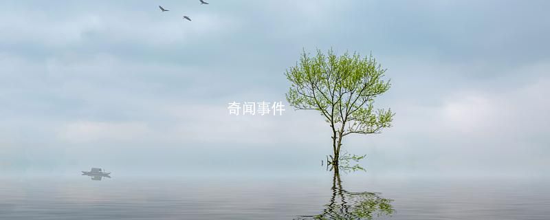 夢到杏樹預示著什么 夢里杏樹代表什么意思 夢到杏樹這個夢是好是壞