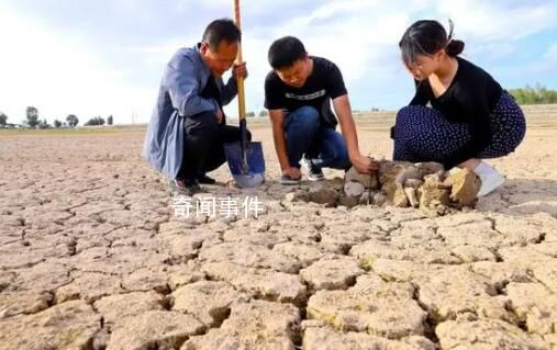 西北旱情仍在持續(xù):甘肅損失超21億