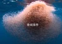 中國在南極意外發現海上糧倉 儲量10億噸可養活14億人