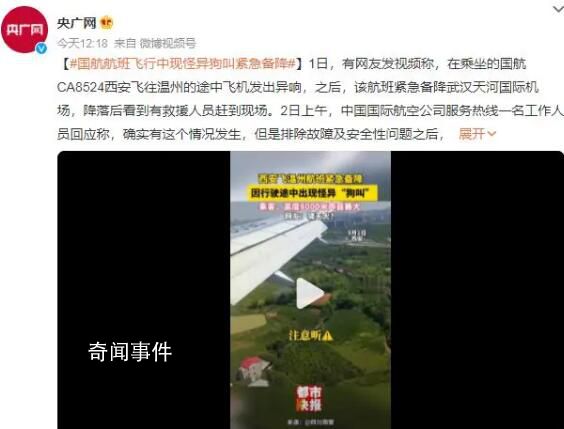 國航航班飛行中現怪異狗叫 緊急備降