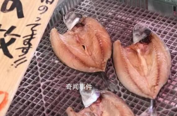 日本養(yǎng)殖戶訴苦兩億頭海參沒(méi)處賣 日本海鮮出口面臨滯銷