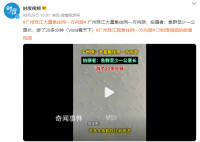 廣州珠江水面現(xiàn)魚群齊游 魚群至少一公里長游了20多分鐘