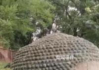 景區回應一男子爬上樂山大佛頭頂 后續處理情況尚不清楚