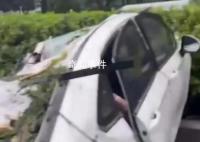 深圳臺風吹倒樹砸中車輛致1死2傷 救援人員趕到時車內2名女性受傷被救出