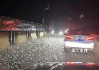 河南信陽一大橋夜晚出現(xiàn)不明飛蟲 引發(fā)了網(wǎng)友們的驚奇和關(guān)注