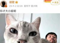 胡歌回應熱評:你才大小姐呢