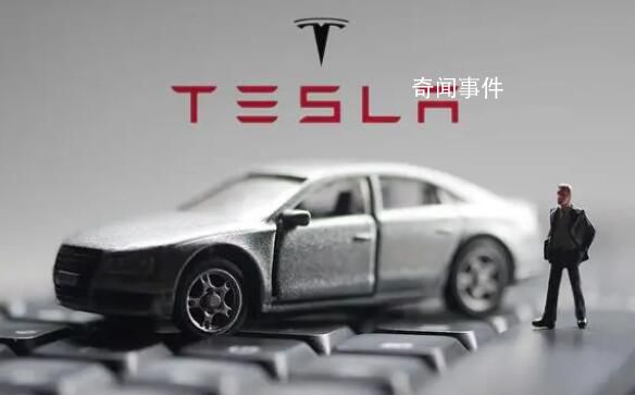特斯拉“鯰魚效應”引發連鎖反應