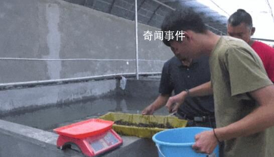 新疆“海鮮”大豐收了 網(wǎng)友：新疆產(chǎn)的海鮮是不是應(yīng)該叫新鮮