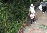 官方回應70歲老人景區墜崖身亡 排除刑案
