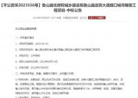 五問715萬元“丑”雕塑 700多萬花在哪