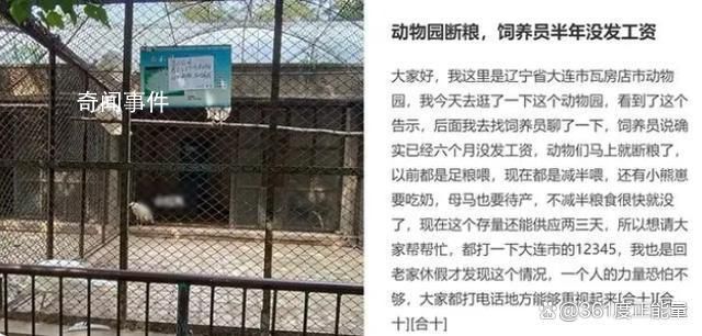 遼寧一動物園將斷糧?官方:屬實