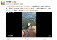 天津網(wǎng)紅跳水景點救援隊2天救14人 跳水存在一定的風險
