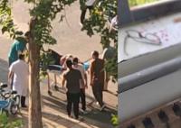 洛陽理工發生命案?校保衛處回應