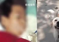 7歲娃被鄰居家狗抓傷后離世 未能及時接種狂犬疫苗