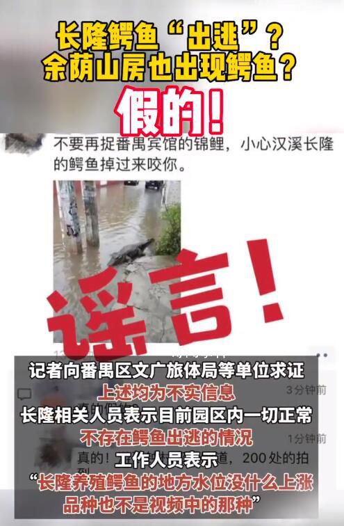 廣州長隆鱷魚出逃?官方辟謠
