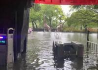佛山動物園辟謠暴雨致動物出逃 消防人員在轉移動物