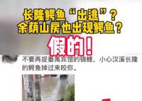廣州長隆鱷魚出逃?官方辟謠
