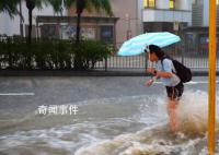 香港暴雨豬場上百頭豬被沖走 全港多個地區發生水浸