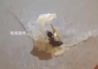 港交所全日暫停交易 極端情況至少維持至下午6時(shí)