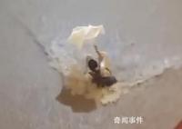 香港發黑色暴雨信號 有市民遇險