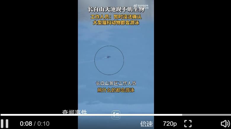 目擊者回應長白山天池現(xiàn)神秘生物 暫時沒法確認