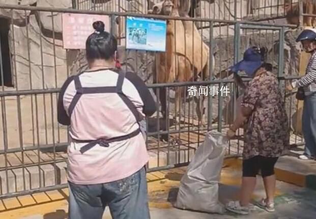 遼寧一動物園斷糧市民自發(fā)投喂 園內存糧不多希望得到幫助